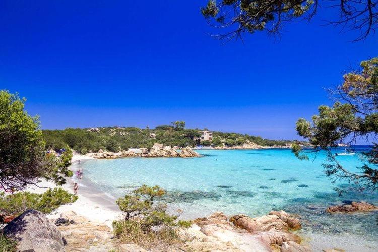 ⭑ ⭑ ⭑ ⭑ ⭑porto Cervo Yacht Club